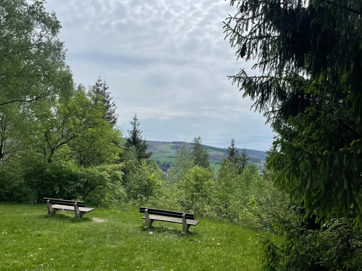 Bänke in einer grasbewachsenen Fläche mit Bäumen und einem Hügel im Hintergrund.