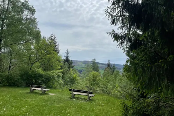 Bänke in einer grasbewachsenen Fläche mit Bäumen und einem Hügel im Hintergrund.