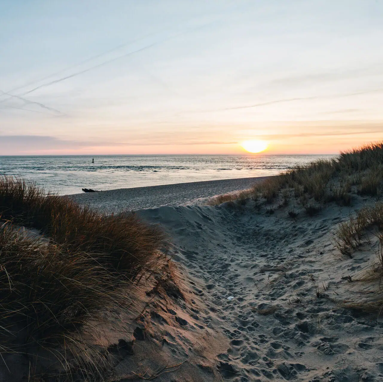 Sylt Sentiero sabbioso con erba e tramonto sul mare.
