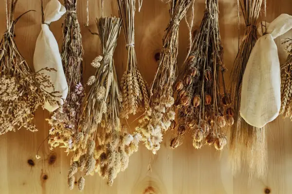 Fiori secchi appesi a una parete di una sauna.