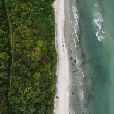 Spiaggia con alberi e acqua.