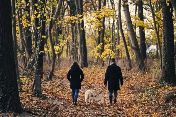 Una coppia passeggia con un cane in un bosco autunnale.