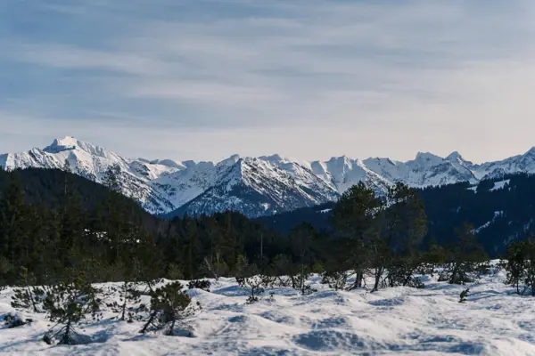 Paesaggio innevato con alberi e montagne sullo sfondo