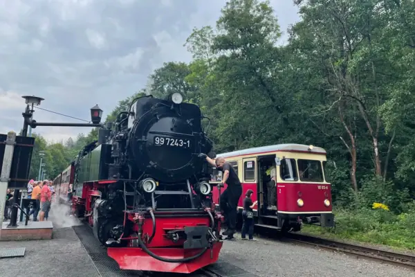 La ferrovia a scartamento ridotto dell'Harz a Wernigerode.