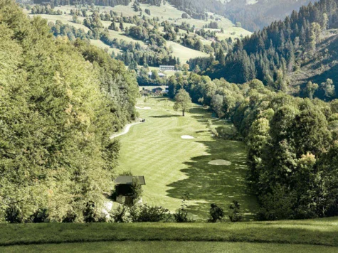 Campo da golf con alberi e montagne sullo sfondo.