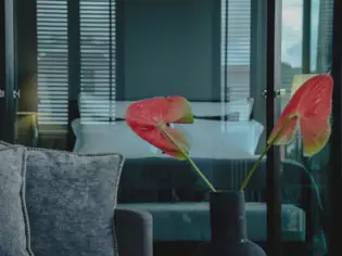 L'immagine mostra un primo piano di due sorprendenti anthurium rossi che spuntano da un vaso scuro su un tavolo. Le piante formano un accento colorato sullo sfondo sfocato di un'elegante camera da letto. 