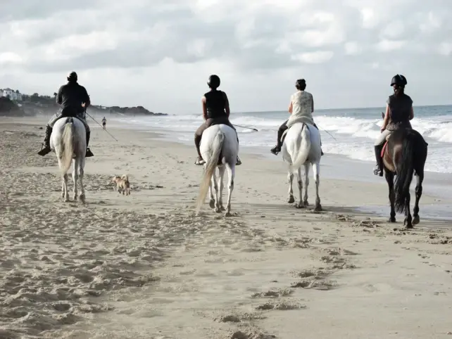 Equitazione a Sylt