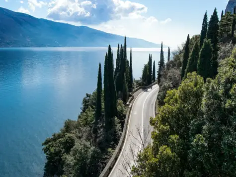 Strada lungo il lago di Garda costeggiata da alberi.