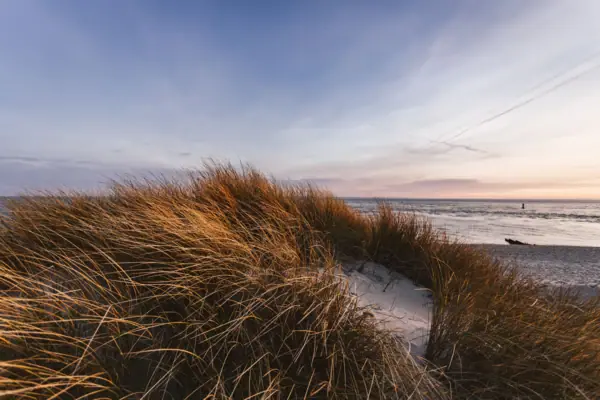 Un paesaggio di dune con il mare e una bella spiaggia a Sylt.