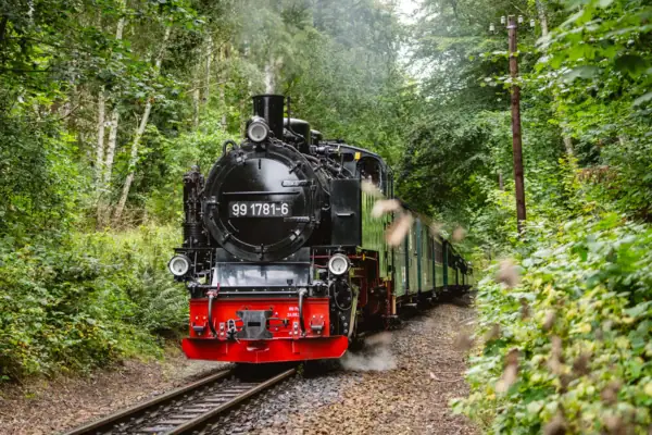 Ein Zug auf den Gleisen.