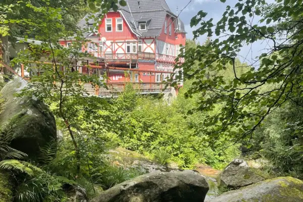 Una casa nel bosco, circondata dagli alberi, con il ruscello Steinerne Renne in primo piano