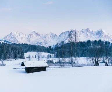 Una baita in un campo innevato con alberi e cielo visibili.