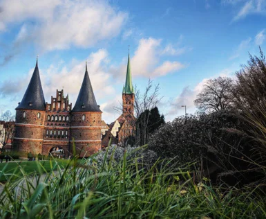 Immagine di un castello con torre circondato da erba verde.