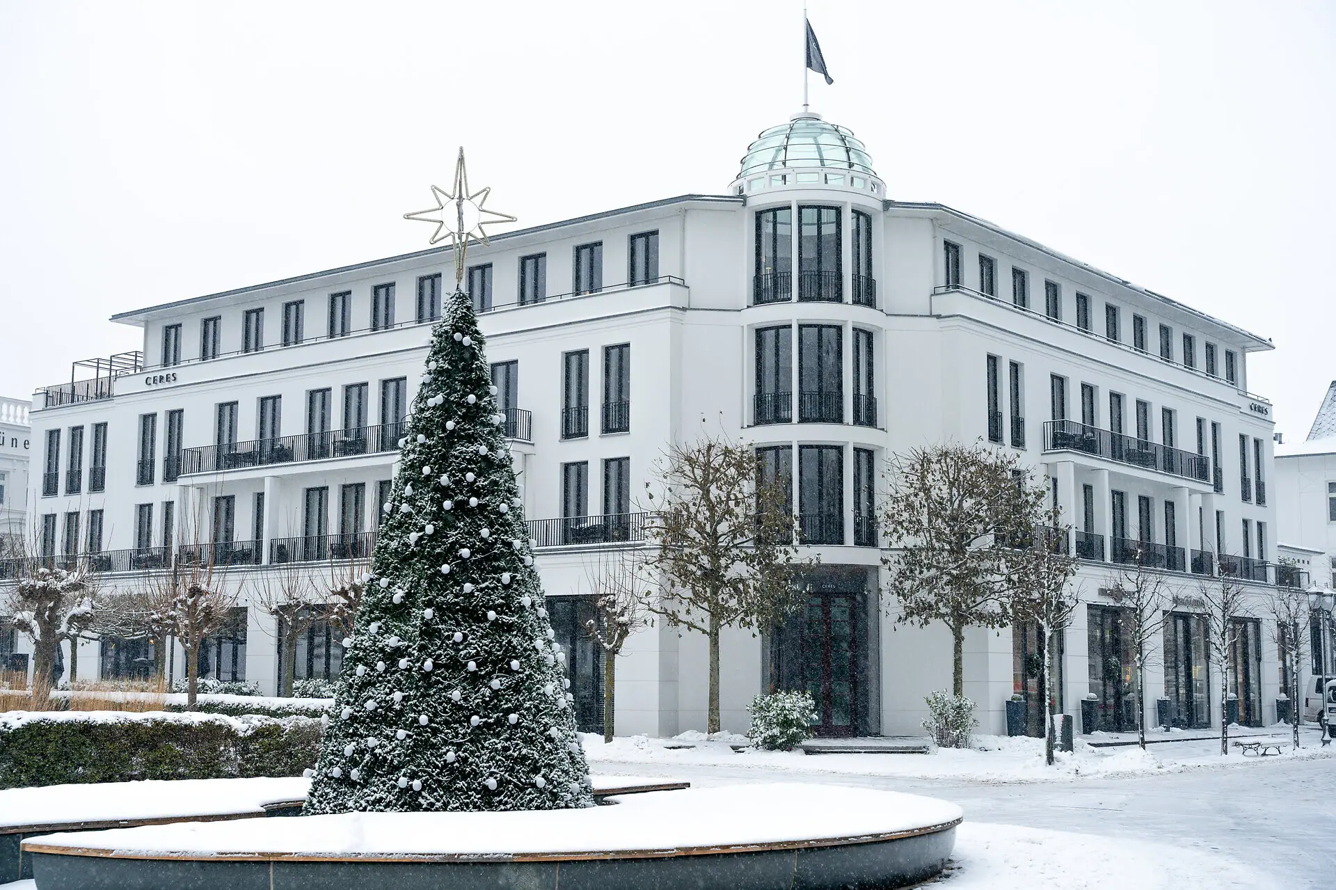 Cerere in riva al mare Un edificio con un albero davanti all'esterno.