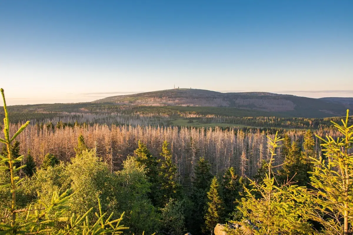 Il Brocken nei Monti Harz