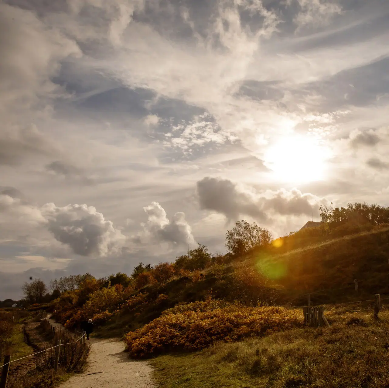 Un sentiero tra le dune di Sylt in autunno.