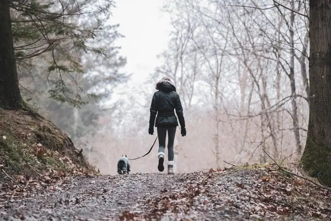 Escursioni con il cane nell'Harz Escursioni con il cane nell'Harz