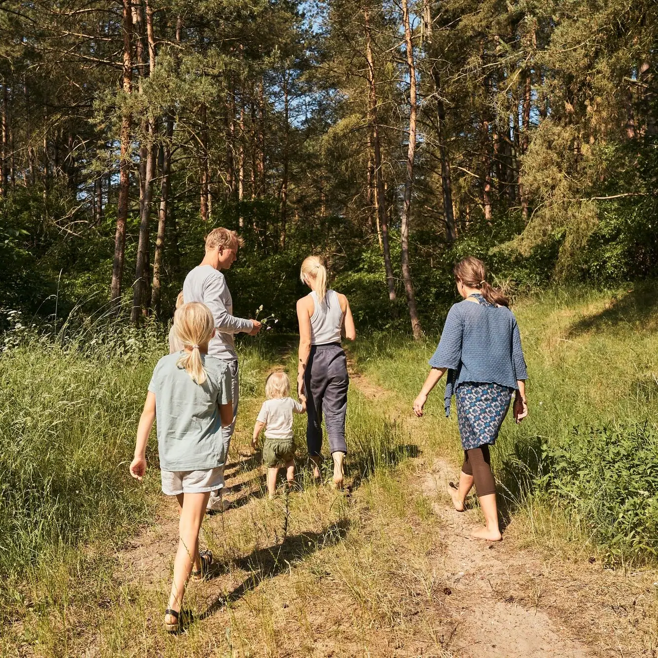 Un gruppo di persone cammina su un sentiero in una foresta.