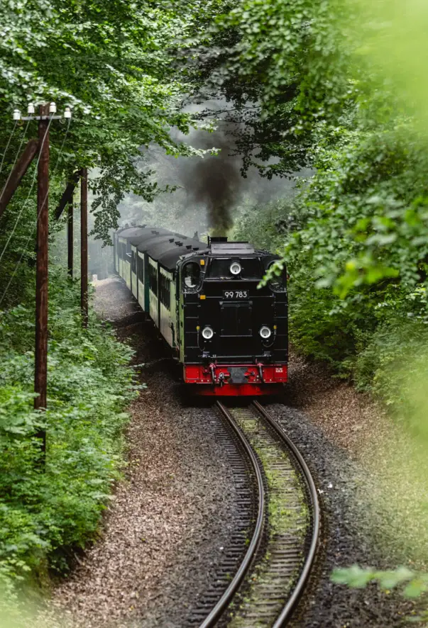 Un treno su rotaie circondato da alberi ed erba.