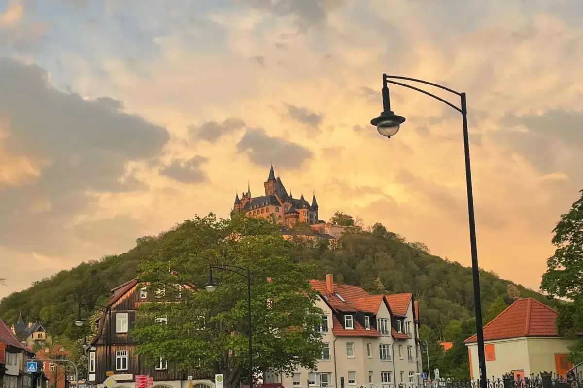 Schloss von Wernigerode Ein Gebäude auf einem Hügel mit Bäumen im Hintergrund.