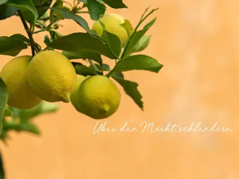 Limoni su un albero davanti a uno sfondo arancione.