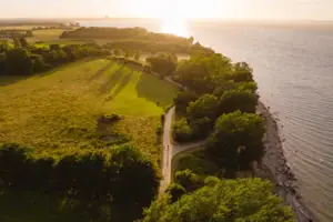 Un sentiero tra gli alberi vicino a uno specchio d'acqua.