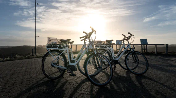 Un gruppo di biciclette parcheggiate su una strada.