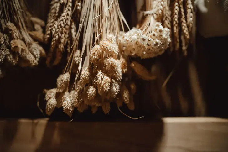 Un'immagine suggestiva di spighe di grano appese ed erbe secche in una luce calda. Le spighe e le erbe sono appese a testa in giù e sono fotografate di lato, proiettando un'ombra morbida su una superficie di legno sottostante.