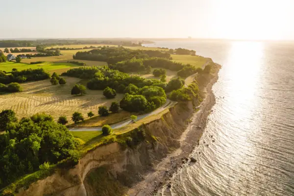 Foto aerea di una spiaggia con un'area ricoperta di erba e alberi.