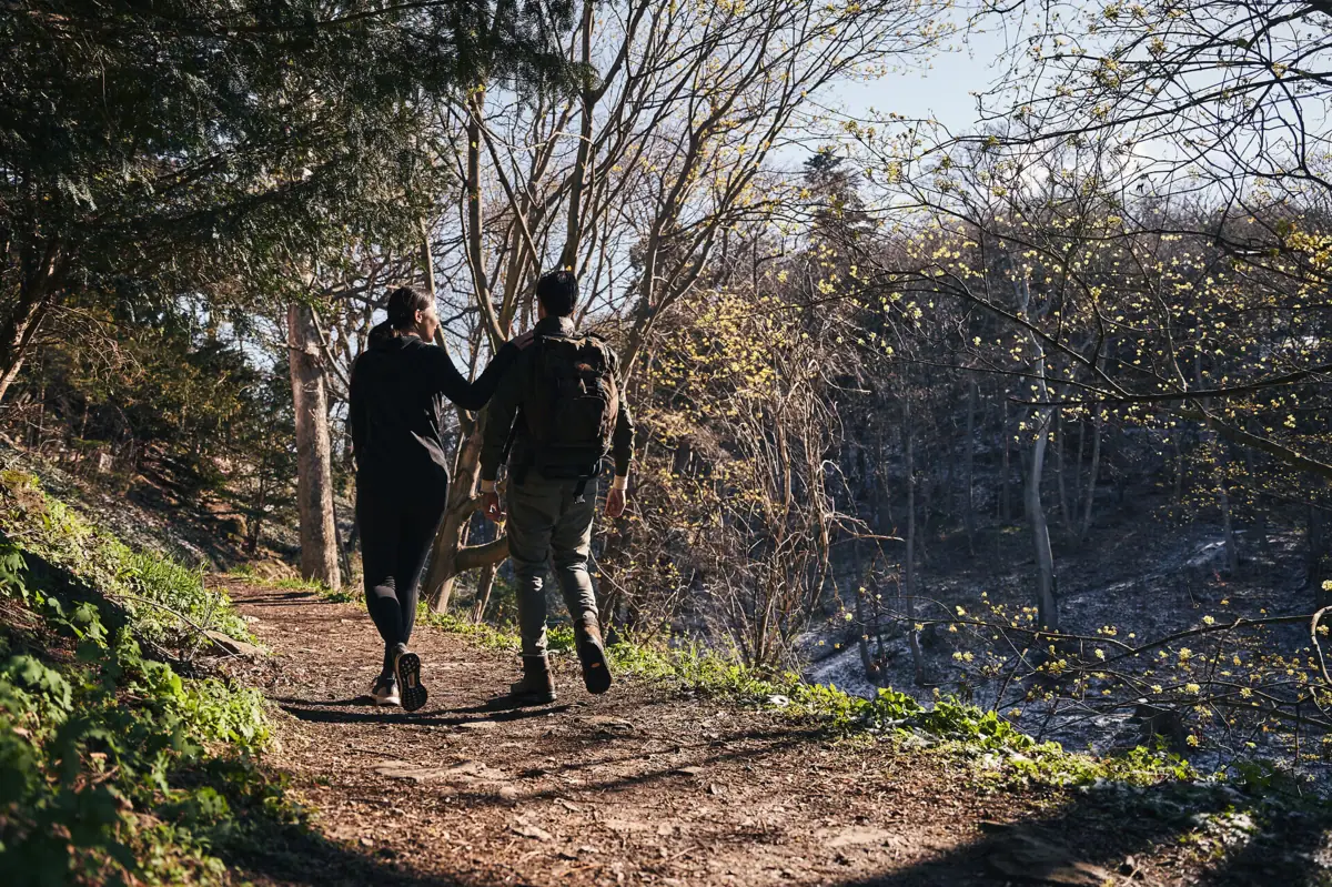 Un uomo e una donna stanno facendo un'escursione nell'Harz lungo un sentiero nel bosco.